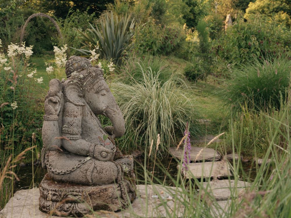 Teachings from an Elephant