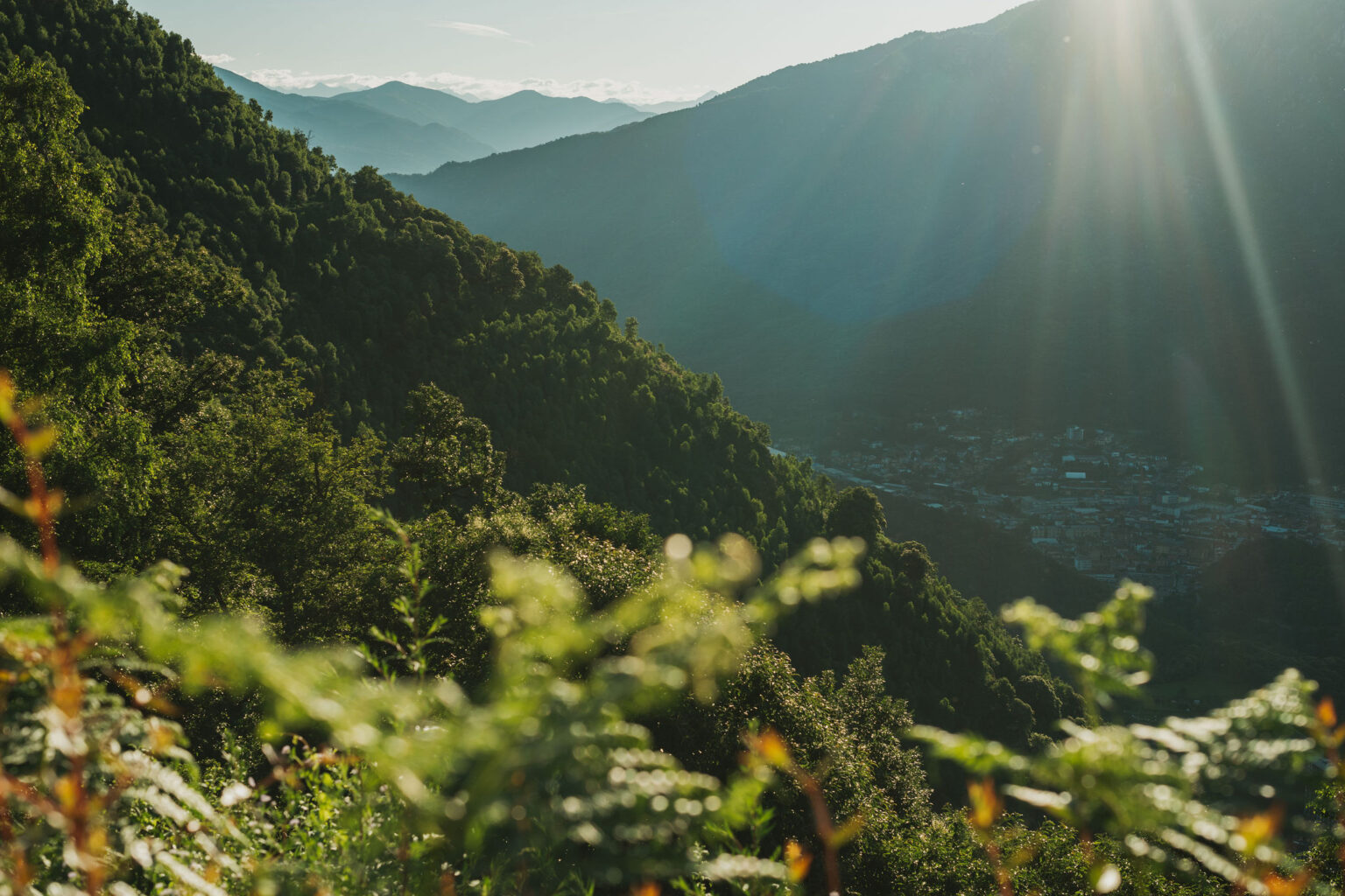 7-Day Retreat with Rupert Spira – ‘Balyani and the Unity of Being ...